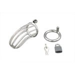 Steel Bird Chastity Cage - Image 2