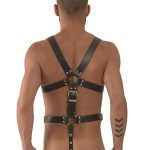 Mister B Leather Master Harness S - Image 3