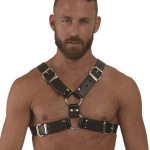 Mister B Leather Y-Front Harness S