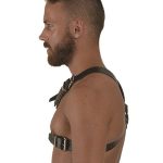 Mister B Leather Y-Front Harness S - Image 4