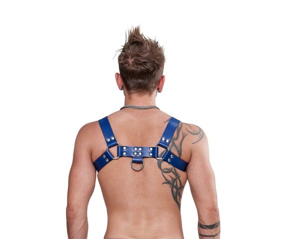 Mister B Leather Chest Harness Saddle Leather Blue S - Image 3